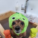 애플스파 이미지