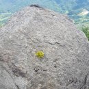 대구팔공산,명마산(498M)74차산행 이미지