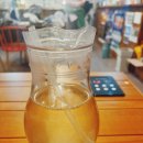 원핏점핑다이어트
