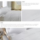 호텔 버지니아 이미지