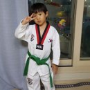 MTA 위브태권도 이미지