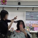 소화빌딩 | 서현역 미용실 추천 오뉴월헤어｜웬디컷 샤밍컷 변신 후기 (소화 수석실장 커트 맛집)