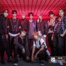 다크비 카카오 검색결과