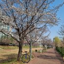 전주이씨 상원군 이세령가문 충신열녀정려편액 | 파주 운정호수공원 완전정복