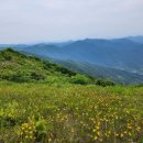 지리산 야생화 형제봉 활공장에서 본 지리산 절경 이미지