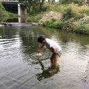 수성 민박 이미지