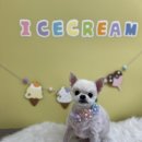 몽셀펫살롱 이미지