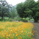 운문가는길 이미지