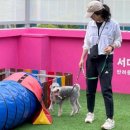 다녀오개 이미지