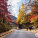 ㈜ 현대항공여행사 이미지