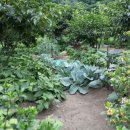 지리산산하루 이미지