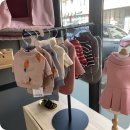 댕댕살롱 이미지