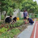 서귀포 온성학교 이미지