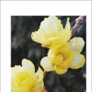 노안초등학교 이미지