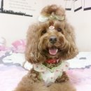 폴리파크(POLYPARK) 이미지