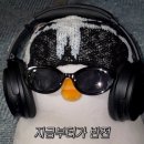 (주)조이피드 | 내가 (지독하게) 사랑한 스튜디오 아이브