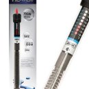 젊은열대어 이미지