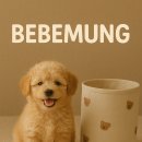 자연주의디자인하우스 | 강아지 집 추천 베베멍 애견하우스의 중요성 제품 추천 강아지하우스 고려사항 꾸욱