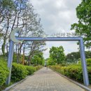 사선대주차장화장실 이미지