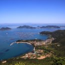 보길도 Daum카페