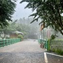 들물 관광농원 이미지