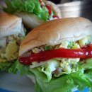 샌드위치와 런치메뉴 이미지