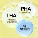 레몬씨