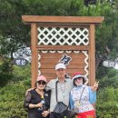 일박이일 Daum카페