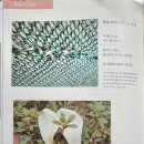 시마 이미지