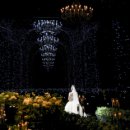 보타닉파크웨딩 네이버블로그