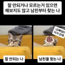 세븐일레븐 대구북현풍대로점 | @일상(25.10.20-27)