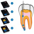 보타닉동물병원 이미지