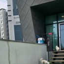 러닝독 스테이 이미지