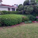 영림전자 이미지