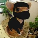 앵콜송노래방 이미지