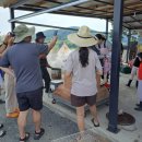 물여울마을 이미지