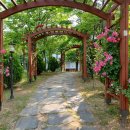 탑 번역일반행정사사무소 이미지