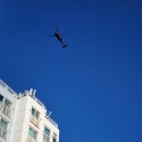 장충단공원 | 하우스 커피 앤 디저트 : 아기, 반려견과 가기 좋은 테라스 한옥 카페 in 장충단공원(주차는 동국대)