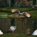 경남야생동물센터 이미지