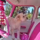 시대자동차공업사 이미지