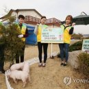 수곡농장 이미지