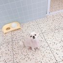 서부산동물메디컬센터 이미지