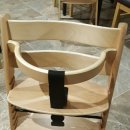 내생의봄날 대구수목원 이미지