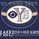 윤성진 안과/외과 동물병원 이미지