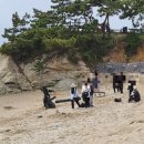 부안연가 이미지