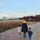 순천만습지 쉼터 화장실 이미지