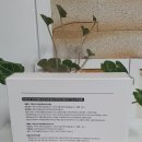 마레시오