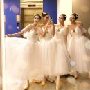 대구경북발레 페스티벌 이미지