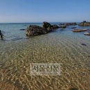 새천년의 빛 이미지