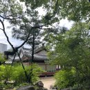 4913 | [광복 80주년 서포터즈] 덕수궁 돈덕전 전시 “빛을 담은 항일 유산” -국가유산청 광복 80주년 특별전